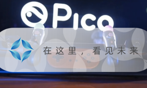 上万元游戏拼多多 7 块搞定，PICO 防不住