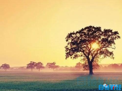 华雨欢:币圈凉吗?未必吧。