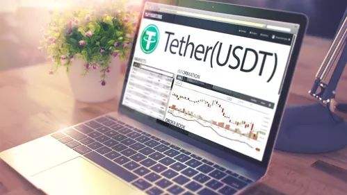 尚吉电子209DT免费USDT/USDC游戏推荐/注册送币链游大全/边玩边赚新选择门禁机简介