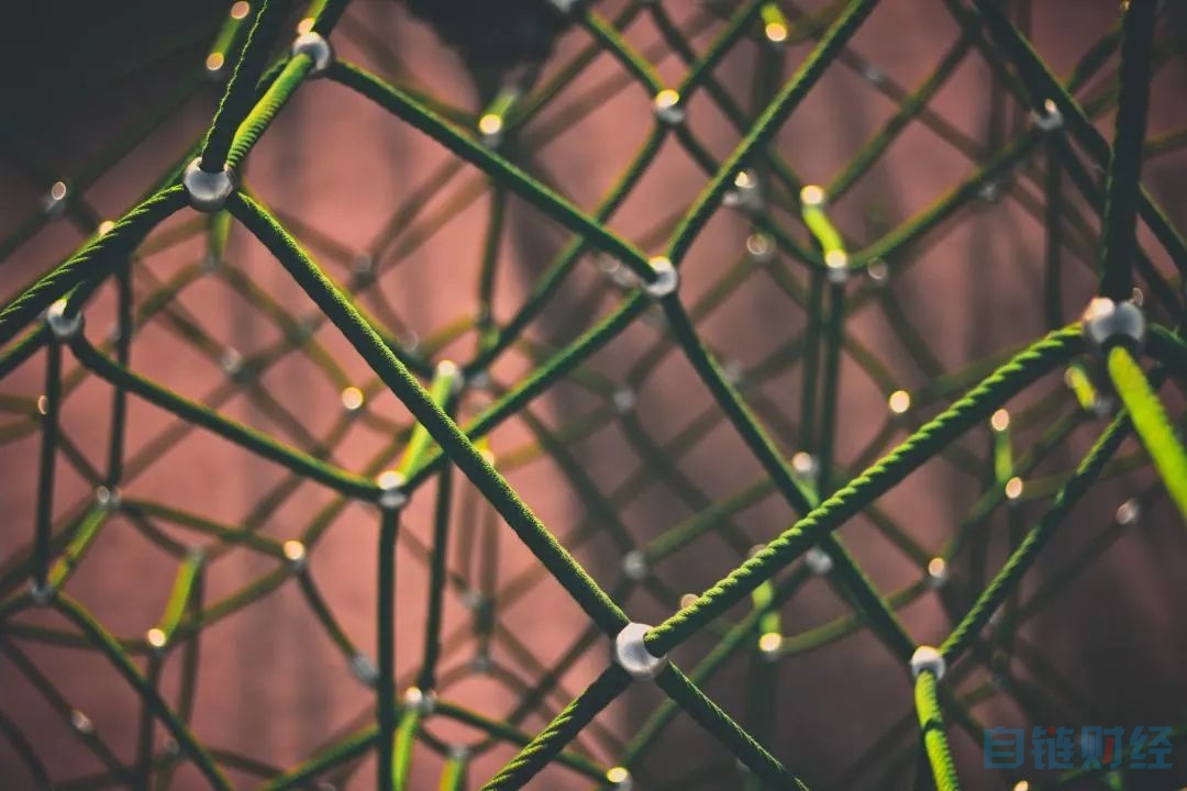 “ZAO一下”背后的隐私争议:区块链世界将做得更好?