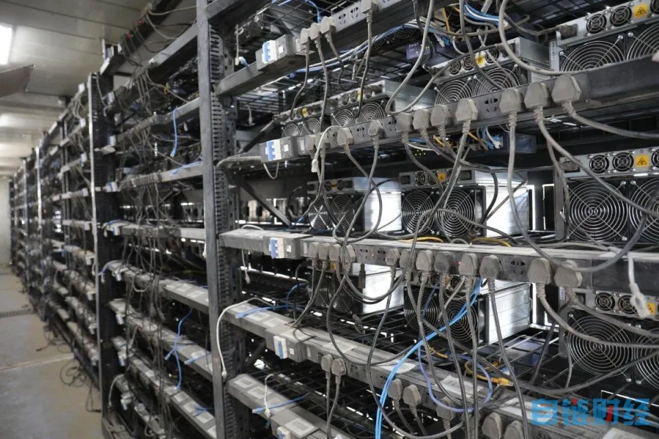 算力蜂：买矿机不如租赁矿机3