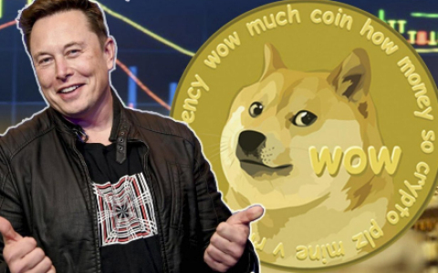 elon musk正在失去他在加密领域的影响力吗?