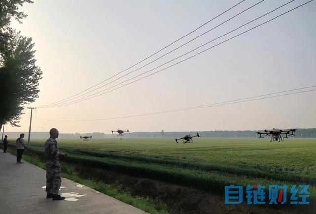 舞阳：田间物联网实时监测 小麦高质高产有保障