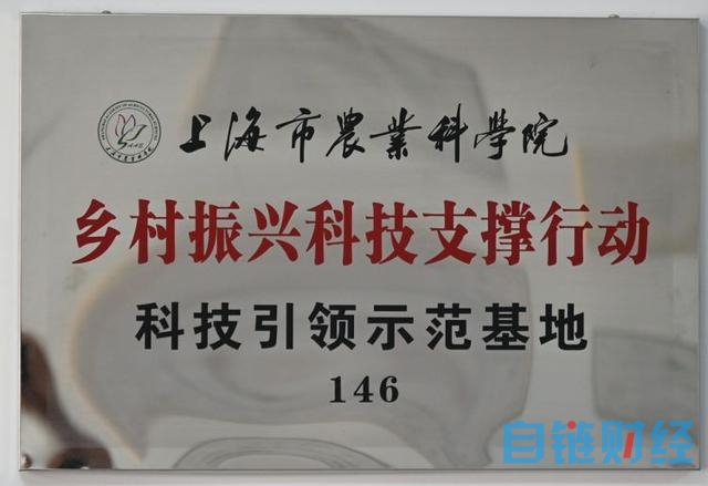 宝山这个果蔬专业合作社以“物联网+机器换人”推进智慧农业发展