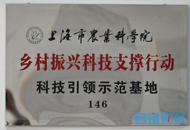 宝山这个果蔬专业合作社以“物联网 机器换人”推进智慧农业发展